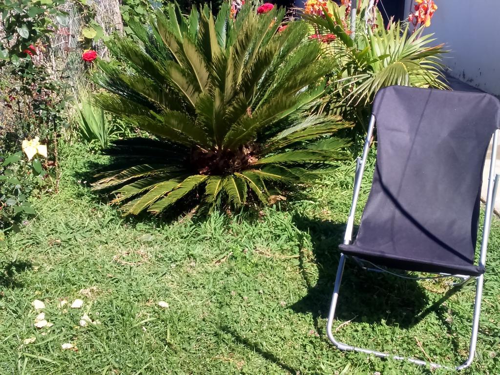 Canto Da Manu Estreito Da Calheta 外观 照片